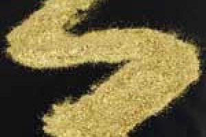 Fairy Dust & Glitter