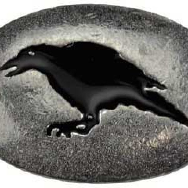 Raven mystical stone