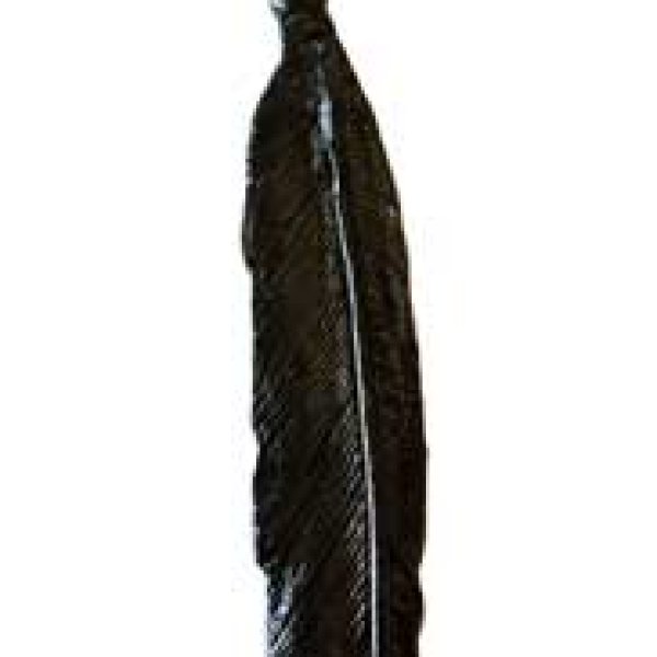 Crow Feather amulet