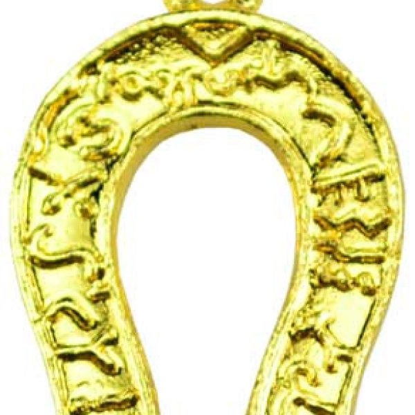 Good Luck Horseshoe