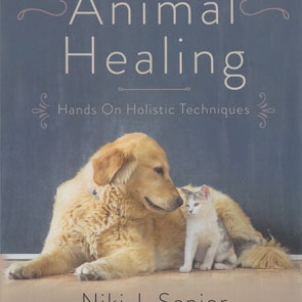 Animal Healing by Niki J Senior