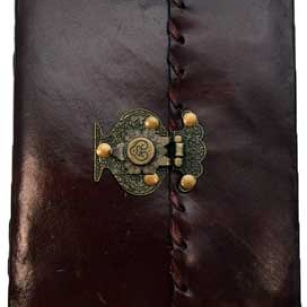 Plain leather blank book w/ snap