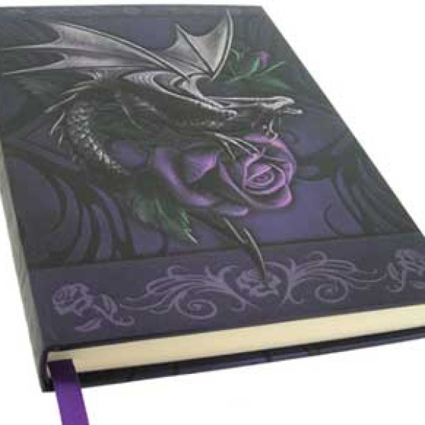 Dragon Beauty journal