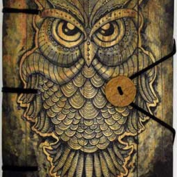 Owl journal 4 1/2" x 6 1/2" handmade parchment