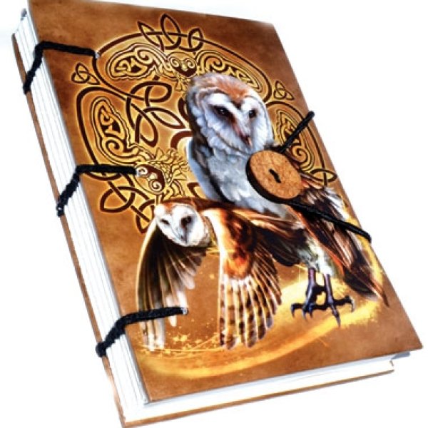 Celtic Owl journal 4 1/2" x 6 1/2" handmade parchment