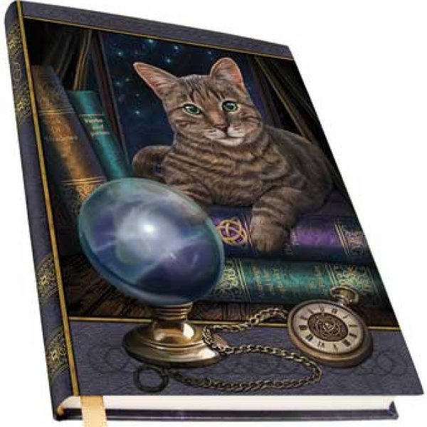 Fortune Teller journal
