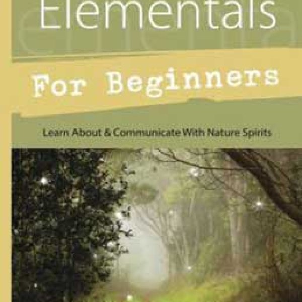 Faeries & Elementals for Beginners by Alexandra Chauran
