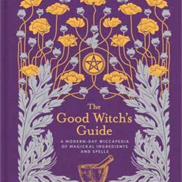 Good Witchs Guide by Robbins & Bedell