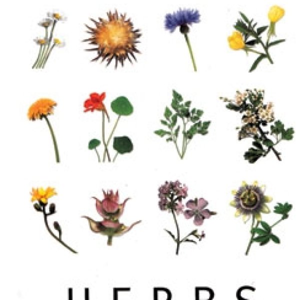 Herbs, Color Guide & Herbal Healing by Jennie Harding