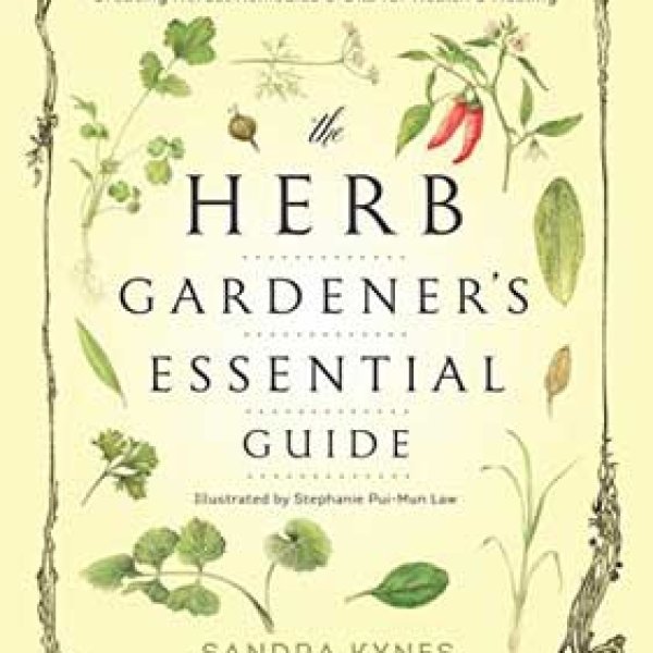 Herb Garden Essential Guide by Sandra Kynes