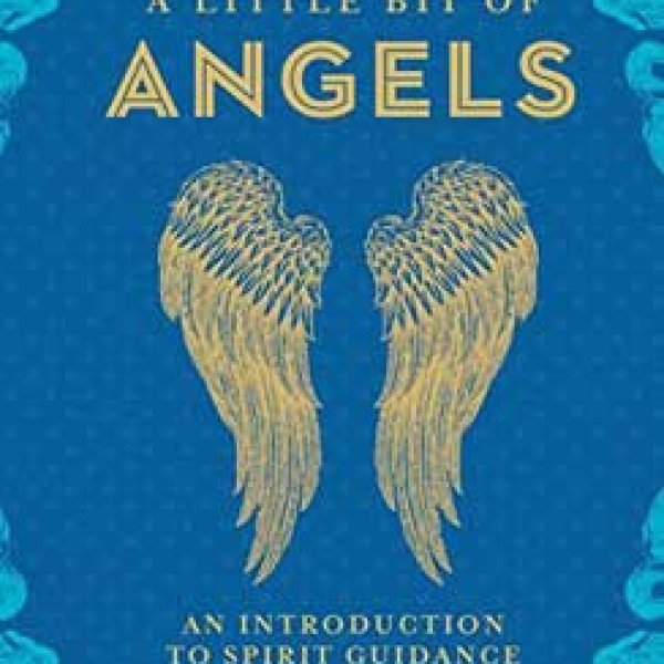 Little Bit of Angels (hc) by Elaine Clayton