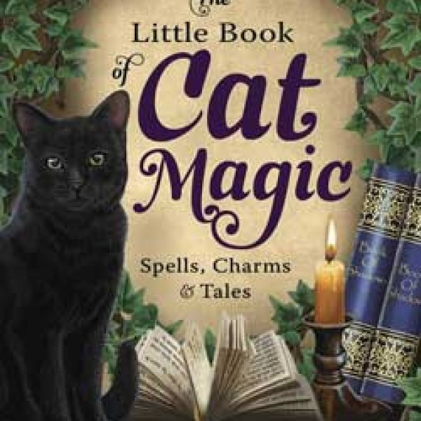 cat magic,cat bonding,magic,cat,cats,spells,