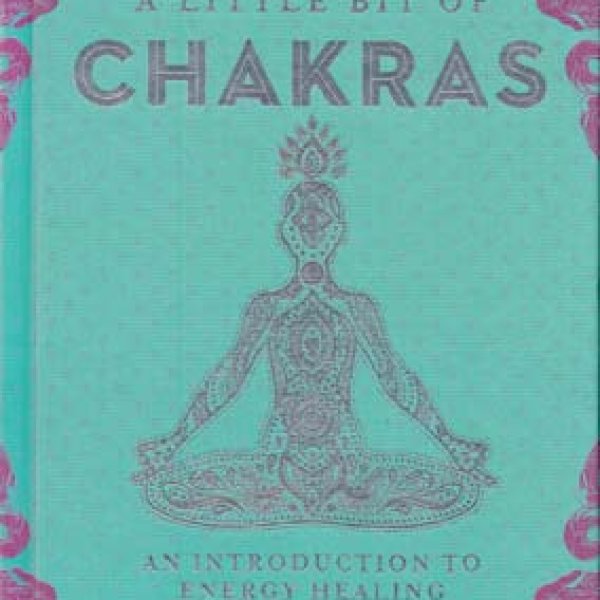 Little Bit of Chakras (hc) by Leigh & Mercree