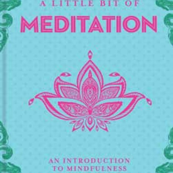 Little bit of Meditation (hc) by Amy Leigh Mercree