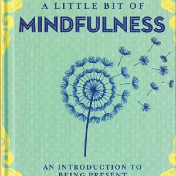 Little Bit of Mindfulness (hc) by Amy Leigh Mercree