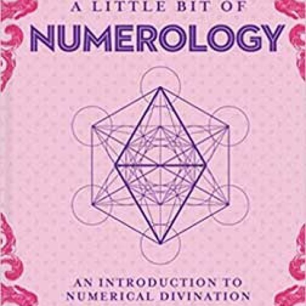 Little bit of Numerology (hc) by Novalee Wilder