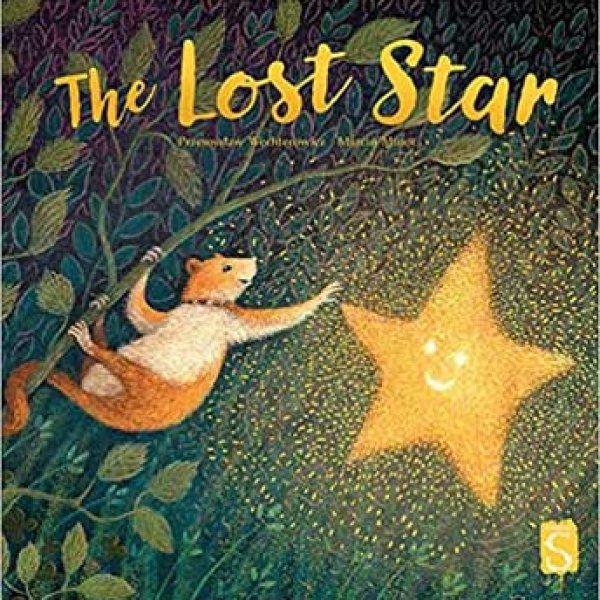 Lost Star (hc) by Wechterowitz & Minor