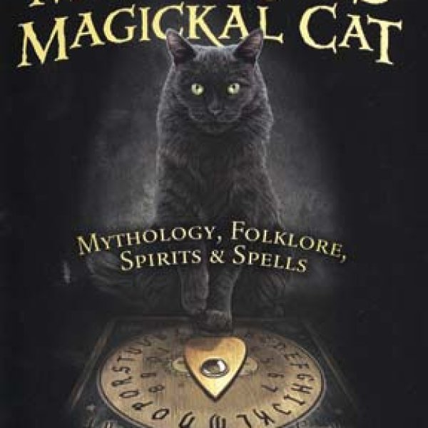 Mysterious Magickal Cat by D J Conway