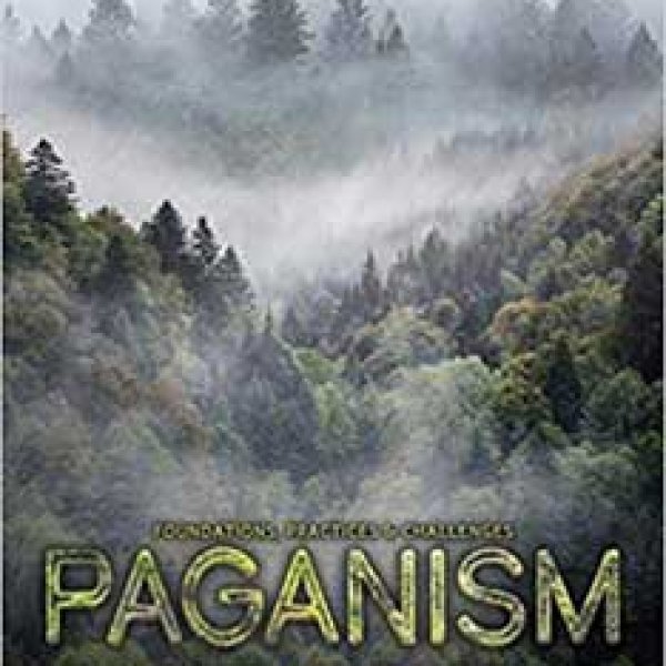 Paganism in Depth by John Beckett