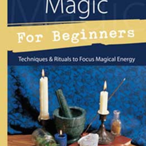 Practical Magic for Beginners by Brandy Williams
