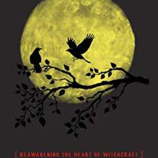 What We Knew in the Night by Raven Grimassi