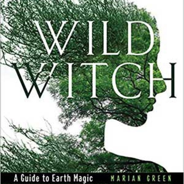 Wild Witch, Earth Magic (hc) by Marian Green