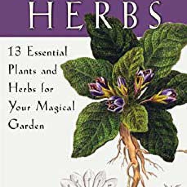 Witching Herbs, 13 Essential Plants & Herbs by Harold Roth
