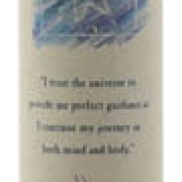Astral Journey Reiki Charged pillar candle