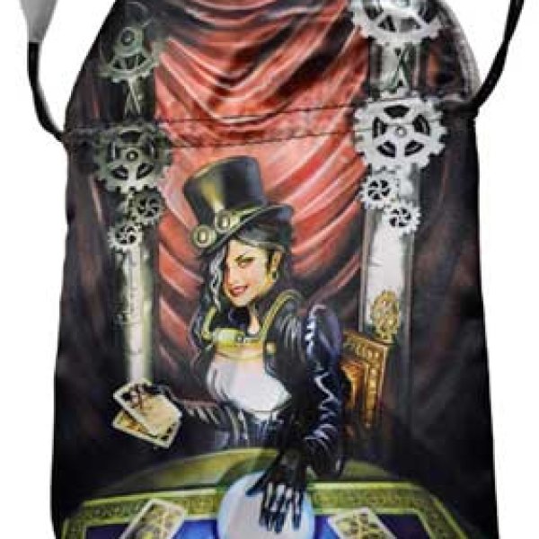 Steampunk tarot bag by Llewellyn 6" x 9"