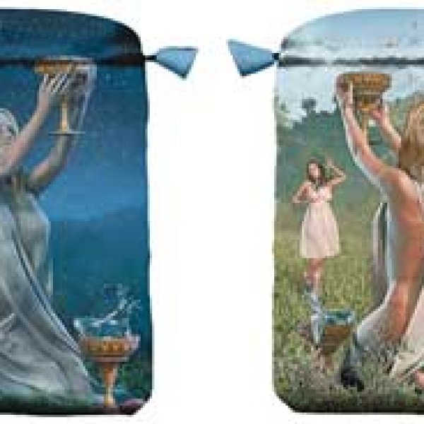 6" x 9" Vice Versa Tarot Bag by Llewellyn
