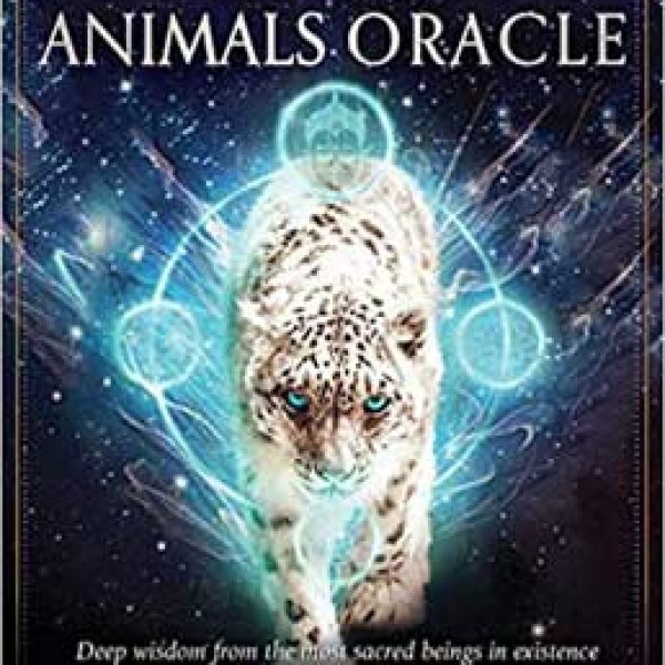 Divine Animals oracle by Stacey Demarco