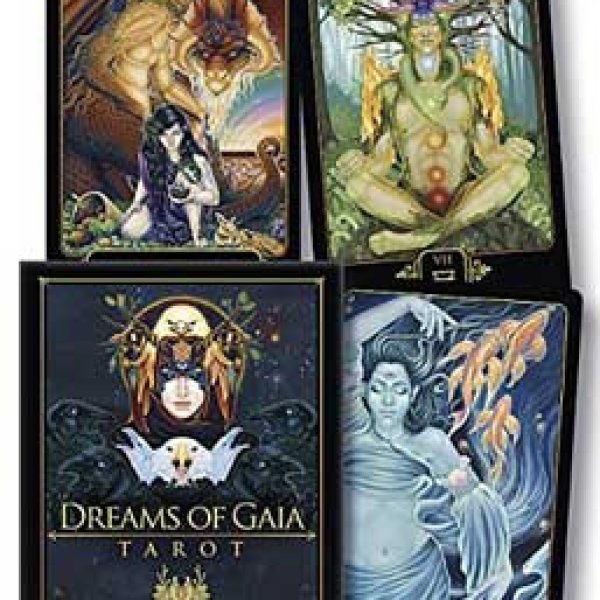 Dreams of Gaia deck & book by Ravynne Phelan