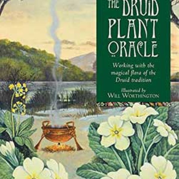 Druid Plant oracle deck by Carr-Gomm & Carr-Gomm