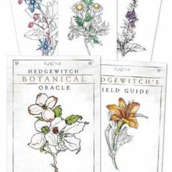 Hedgewitch Botanical oracle by Siolo Thompson