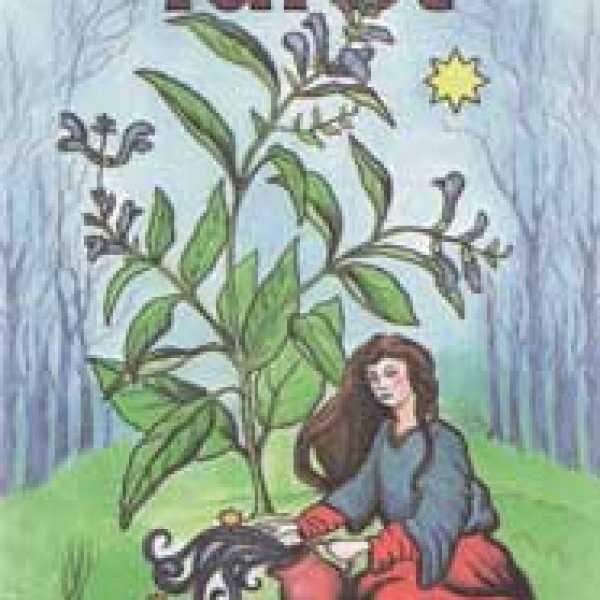 Herbal tarot deck by Tierra & Cantin