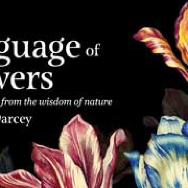 Language of Flowers cards by Cheralyn Darcey