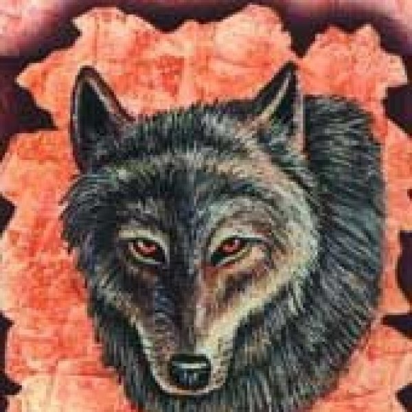 Shaman Wisdom cards by Leita Richesson