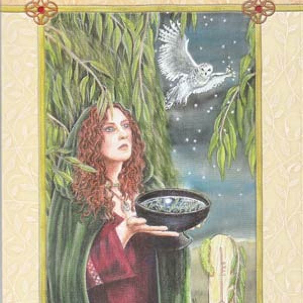 Voice of the Trees tarot deck & book by Mickie Mueller
