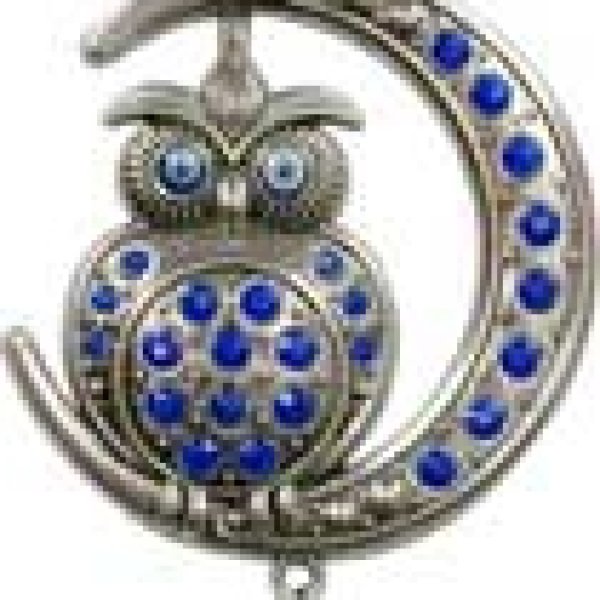 Owl on Moon Evil Eye wall hanging