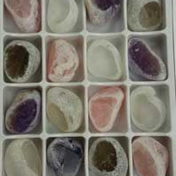 Flat of Mixed windowed (24/flat)