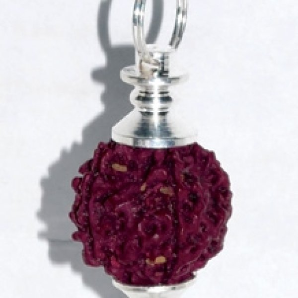 Sephoroton Rudraksha pendulum