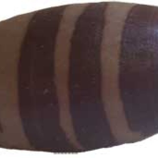 4" Shiva Lingam stone from India