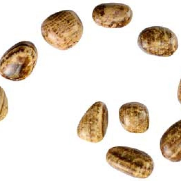 1 lb Aragonite tumbled stones