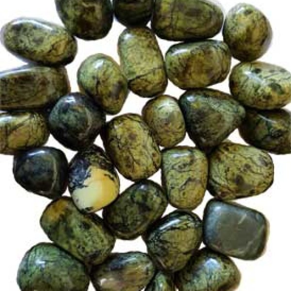 1 lb Asterite Serpentine tumbled stones