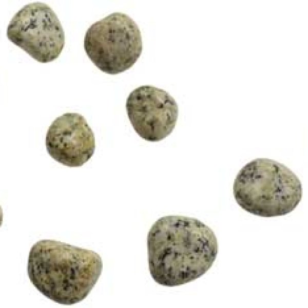 1 lb Dalmatian tumbled stones