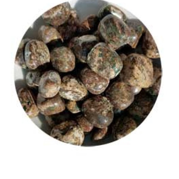 1 lb Jasper, Green Leopard Skin tumbled stones