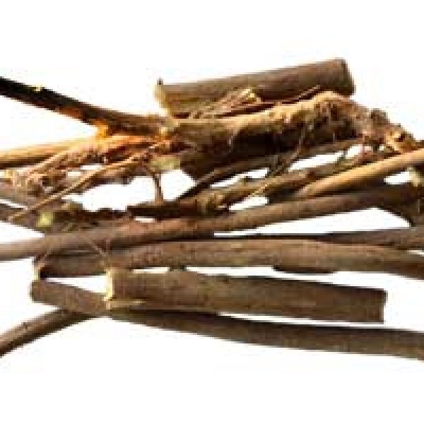 Devils Shoestring root 1oz