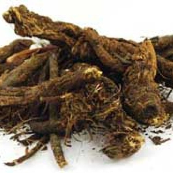 Golden Seal Root cut 1oz  (Hydrastis canadensis)