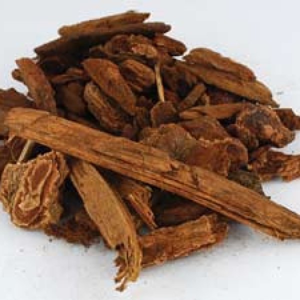 Jezebel Root pieces 1oz (Picea)