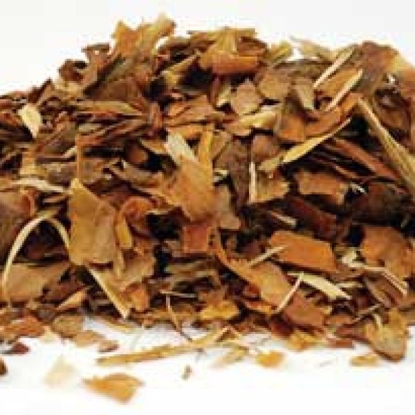 White Pine Bark cut 1oz (Pinus strobus)